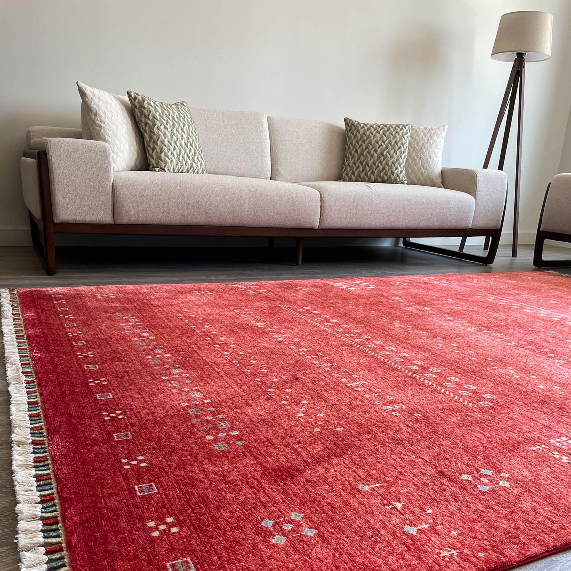 Zara Series Anatolian Patterned Modern Red Carpet